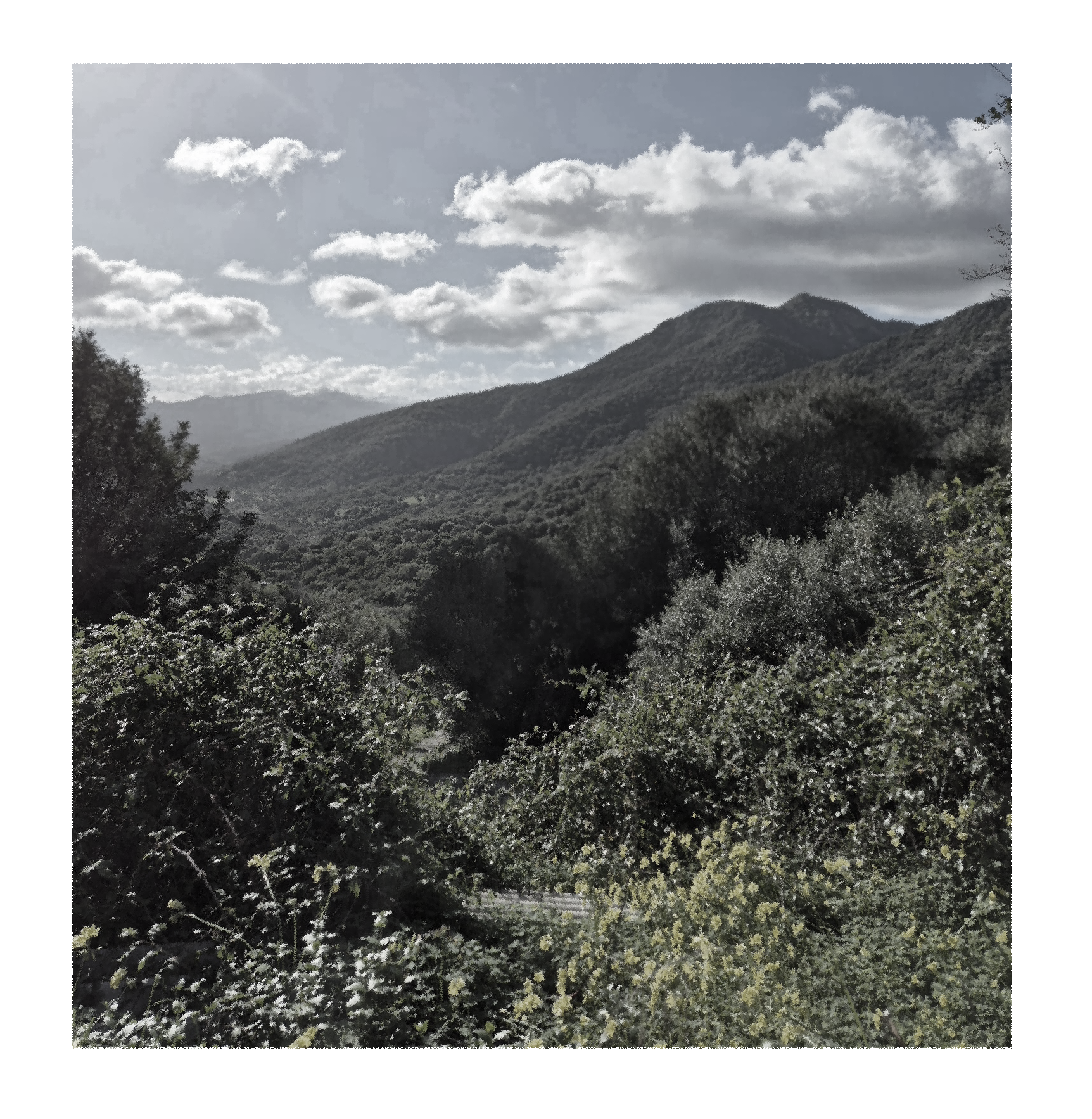 Oh Sew Gecko About Page Blurred mountains